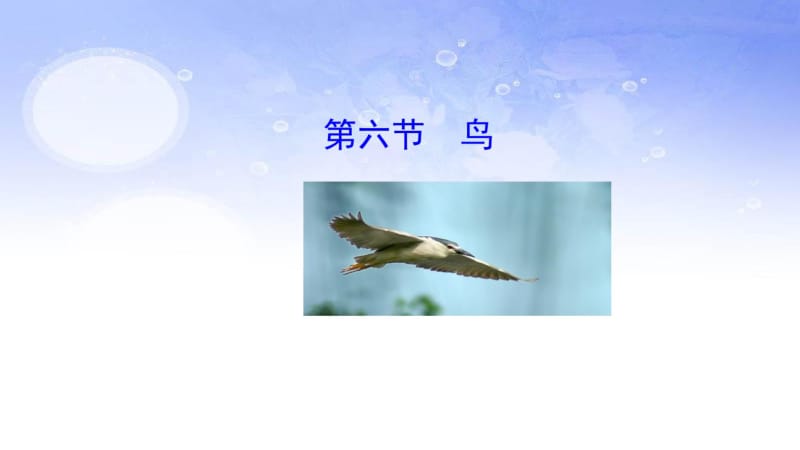 新人教八年级生物上册第六节鸟精品中学ppt课件.pdf_第1页