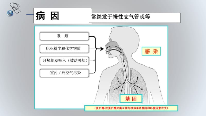 慢阻肺病因1讲解.pdf_第3页