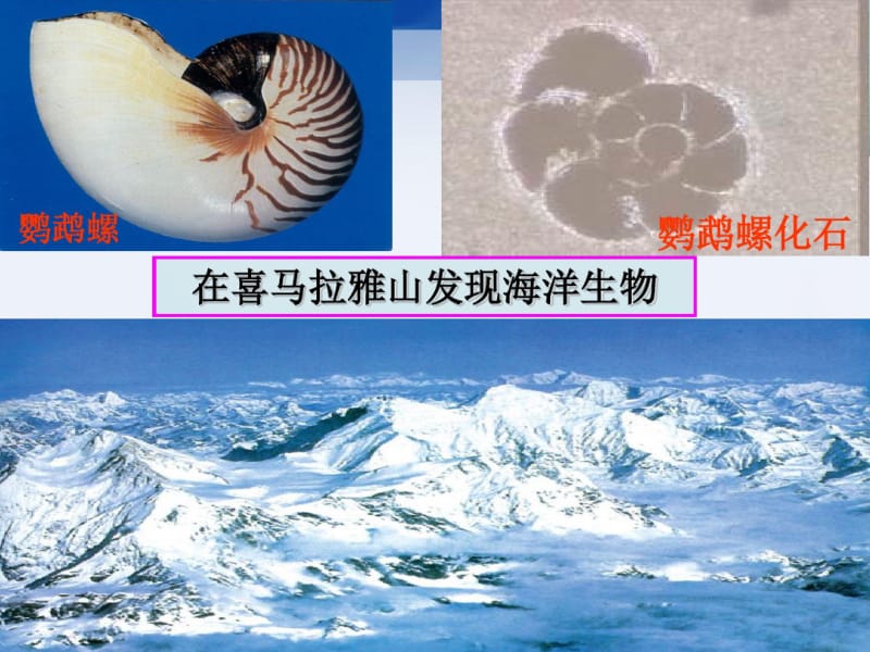 最新人教版七年级上册地理《海陆的变迁》PPT.pdf_第3页