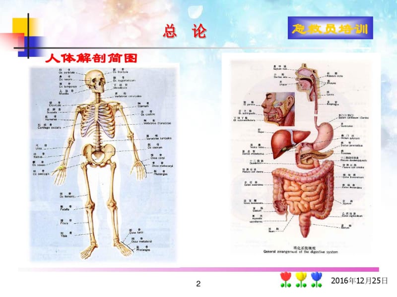 急救常识.pdf_第2页