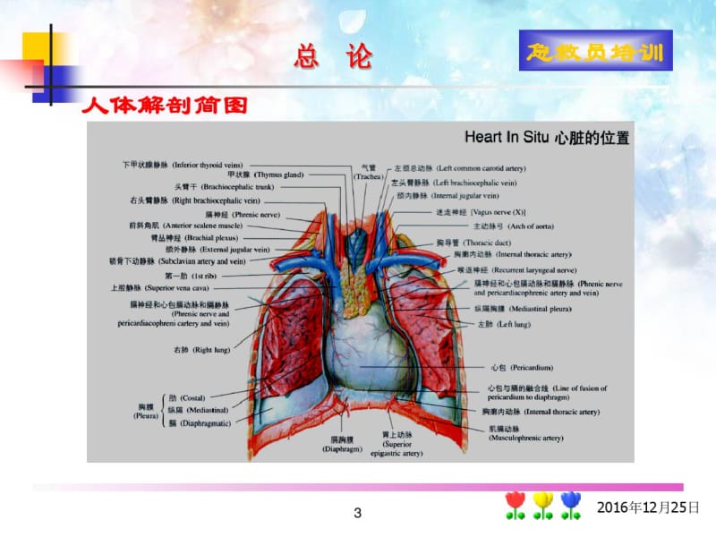 急救常识.pdf_第3页