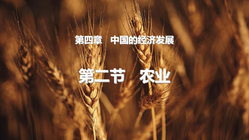 第二节《农业》新人教版精品课件.pdf_第1页