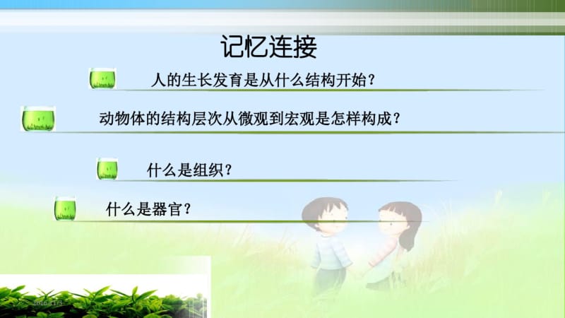 第三节植物体的结构层次精品课件.pdf_第2页