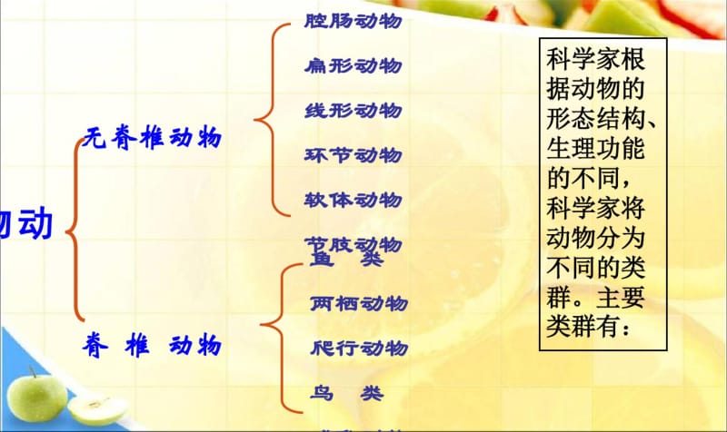 最新初二人教版八年级上册生物课件《第一章_第一节_腔肠动物和扁形动物》课件.pdf_第3页