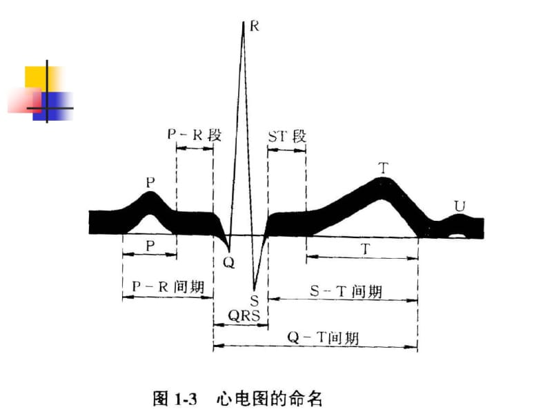 最新心率房颤及其护理(小讲课)_-药学医学精品资料.pdf_第2页