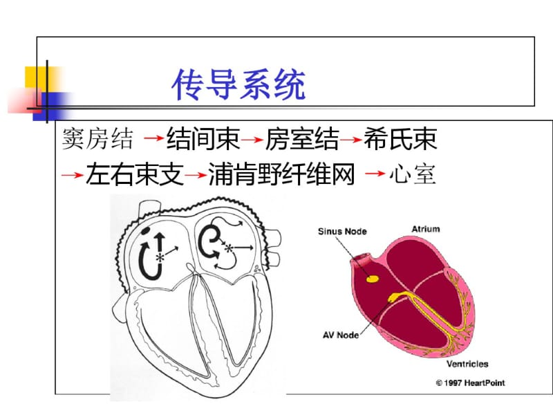 最新心率房颤及其护理(小讲课)_-药学医学精品资料.pdf_第3页