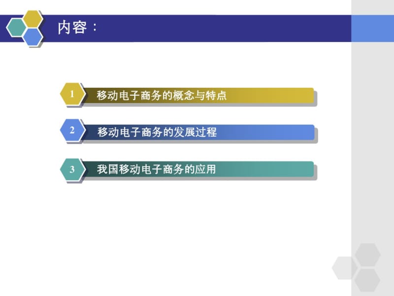 第十三章移动电子商务概述要点.pdf_第3页