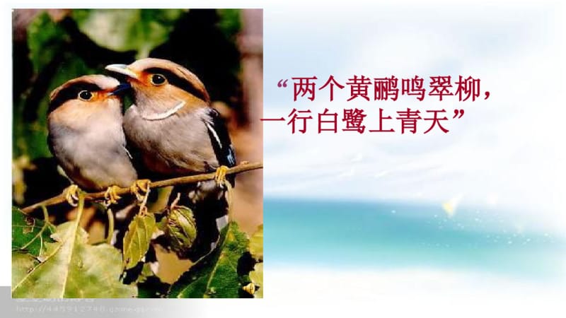 第三章_动物在生物圈中作用精品中学ppt课件.pdf_第2页