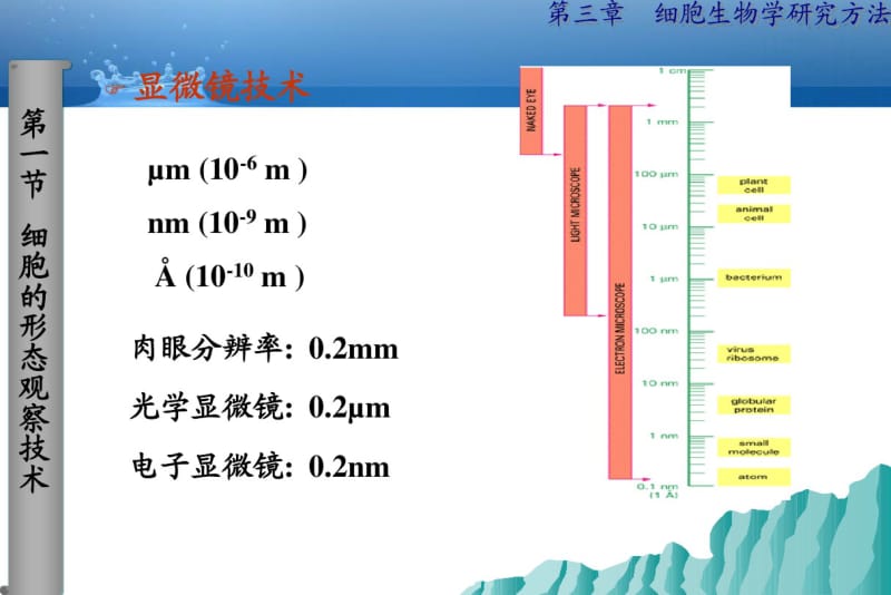 第三章_细胞生物学研究方法.pdf_第3页