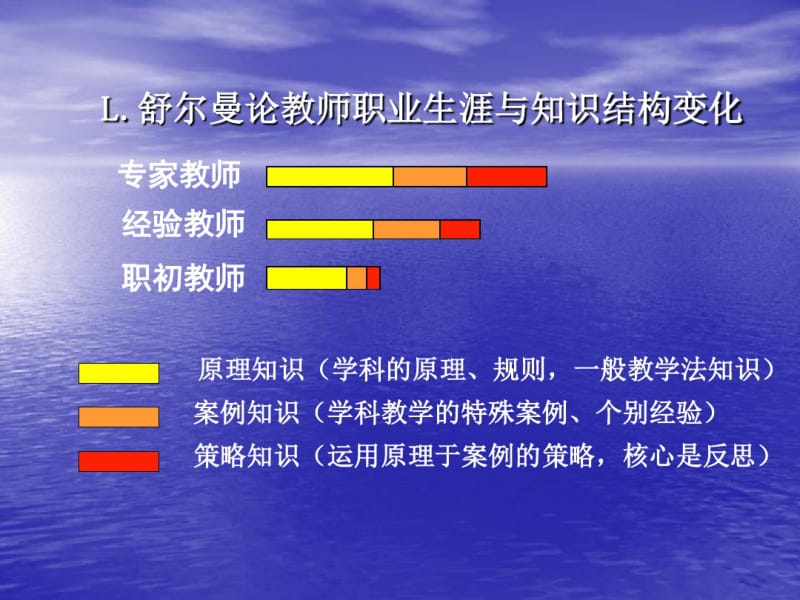 课堂观察框架示意图要点.pdf_第3页