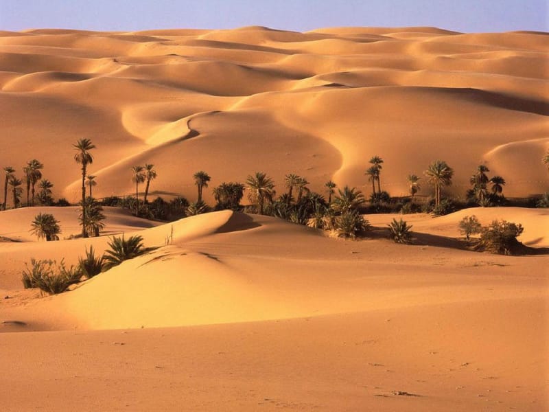 苏教版四年级语文下册《沙漠中的绿洲》PPT课件.pdf_第1页