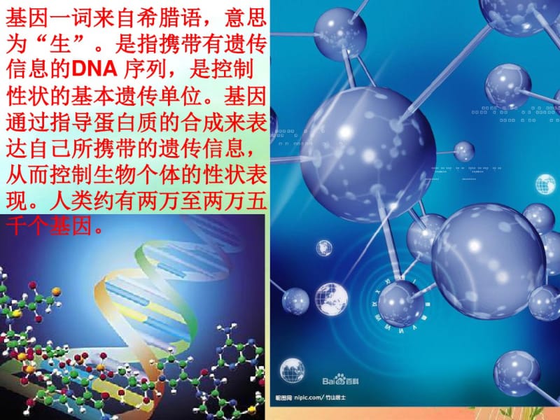 语文S版小学六年级语文下册《种瓜得豆》ppt课件.pdf_第3页