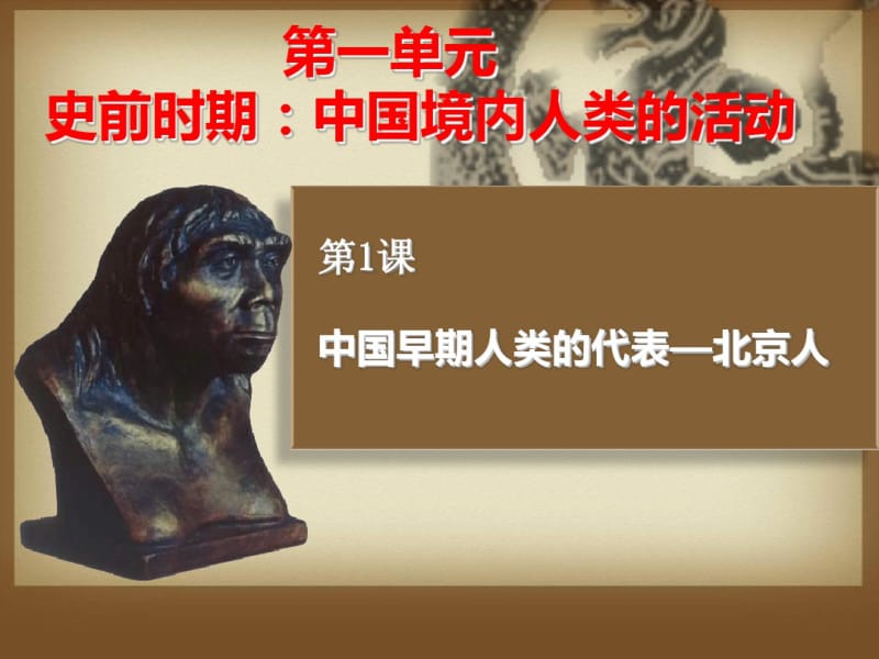 部编人教版七年级历史上册《中国早期人类的代表——北京人》优秀课件.pdf_第3页