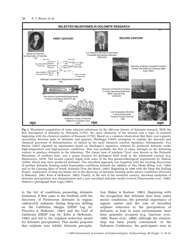 Dolimate__formation_and_biogeochemical_cycles_in_the_Phanerozoic.pdf_第2页