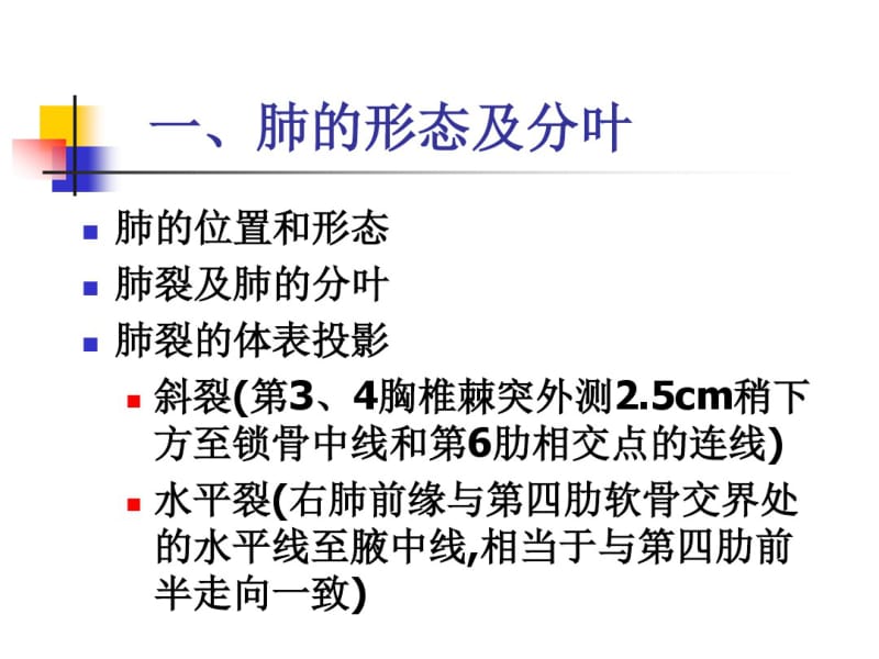 关于肺解剖讲解.pdf_第2页