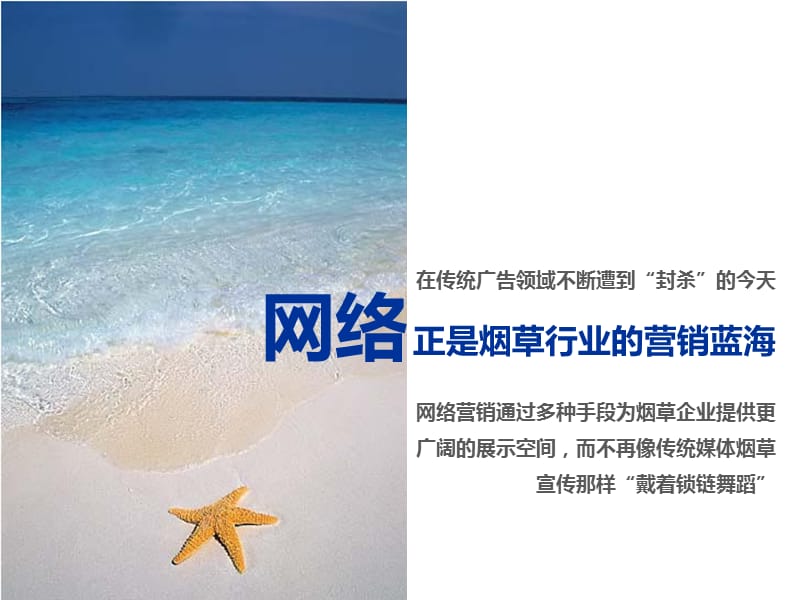 红塔新浪战略合作计划.ppt_第2页