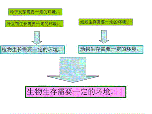 食物链和食物网.ppt