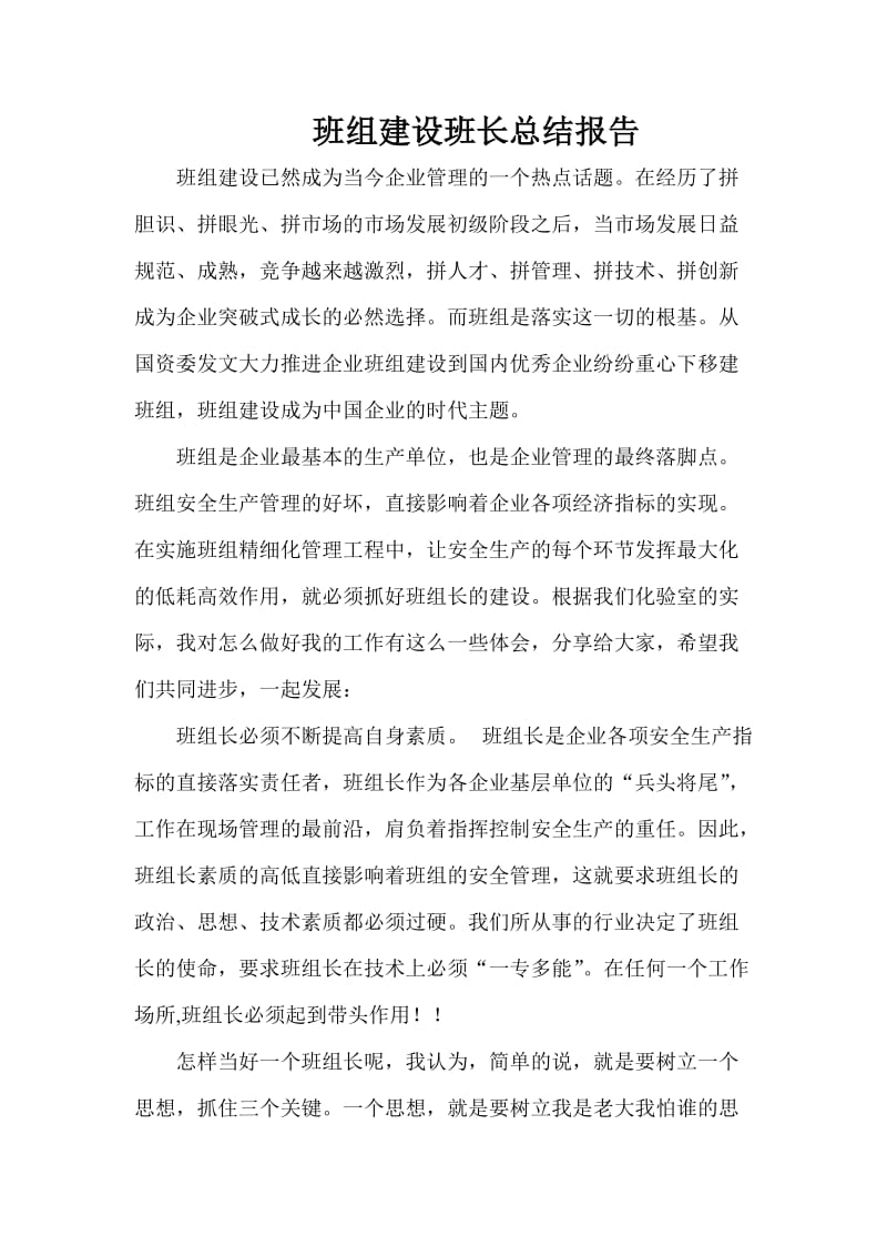 班组建设班长总结报告.doc_第1页