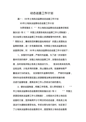 动态巡查工作计划.pdf