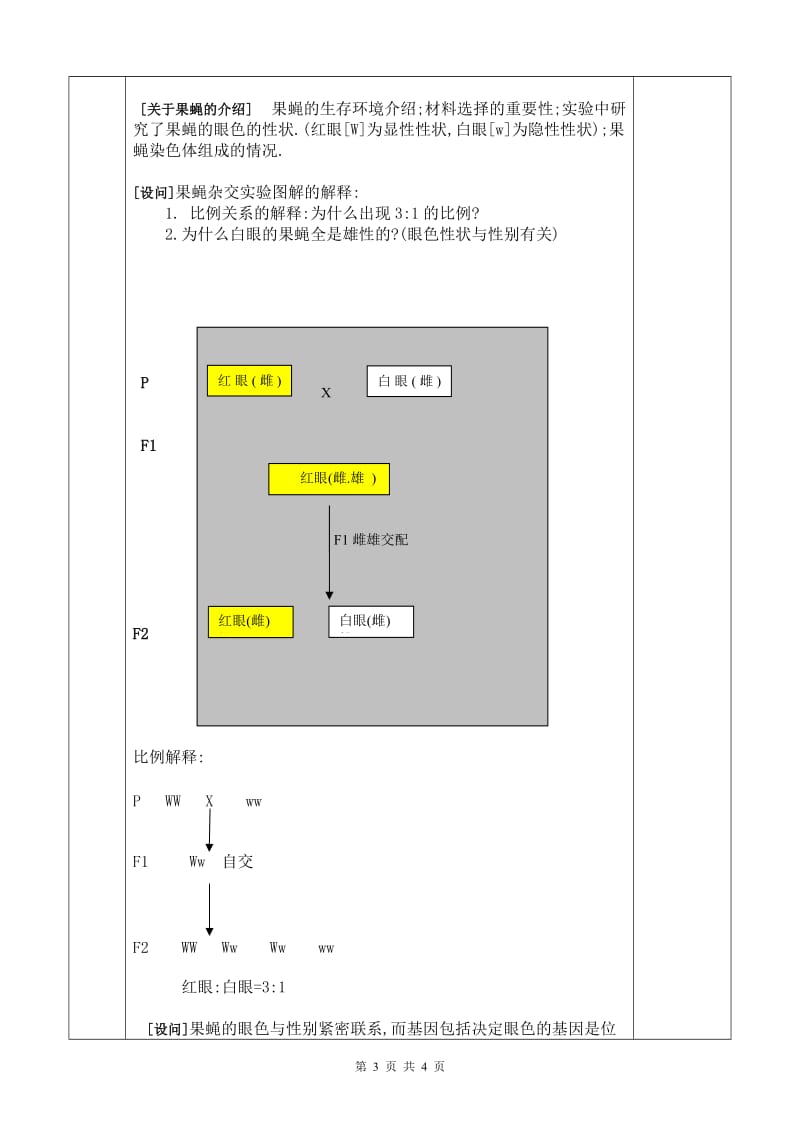 基因在染色体上的教案.doc_第3页