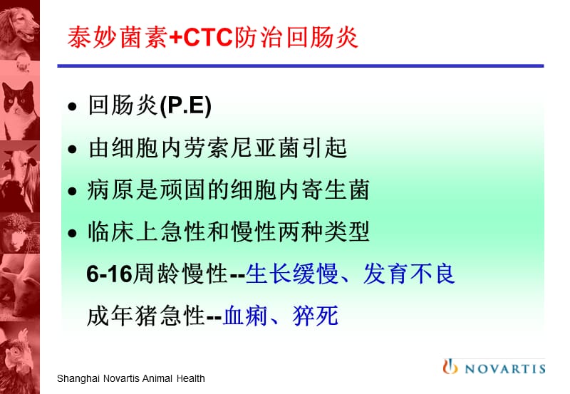 回肠炎的控制.ppt_第2页