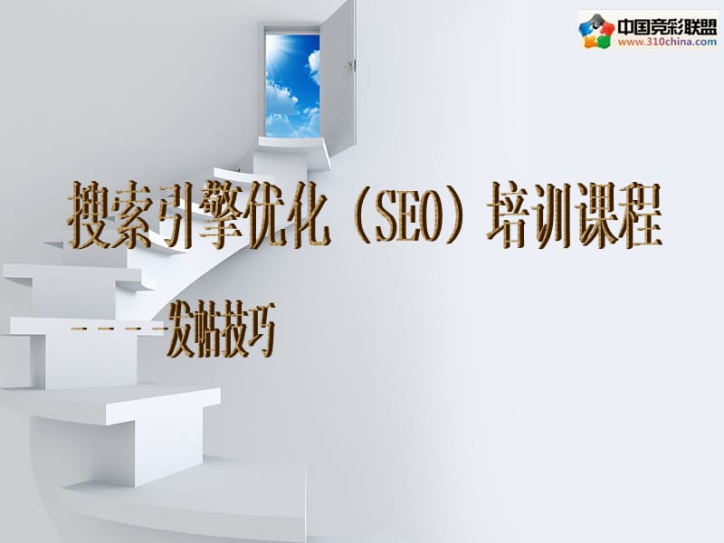 搜索引擎优化（SEO）培训课程.ppt_第1页