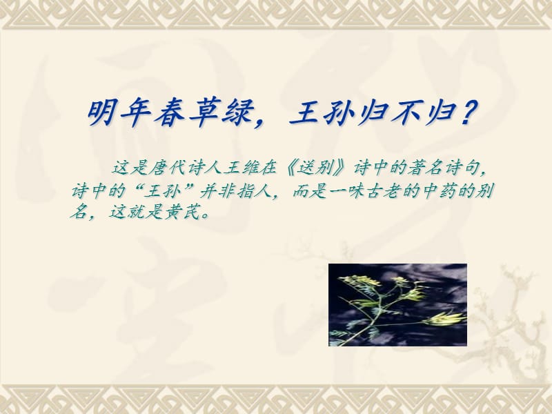 黄芪的功效ppt.ppt_第2页