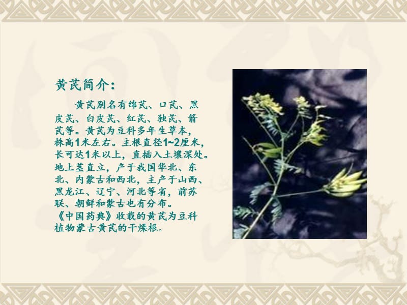 黄芪的功效ppt.ppt_第3页