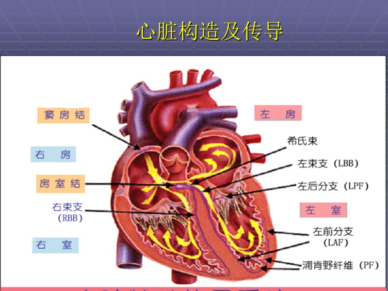 医院心电图基础知识医学幻灯片.ppt_第2页