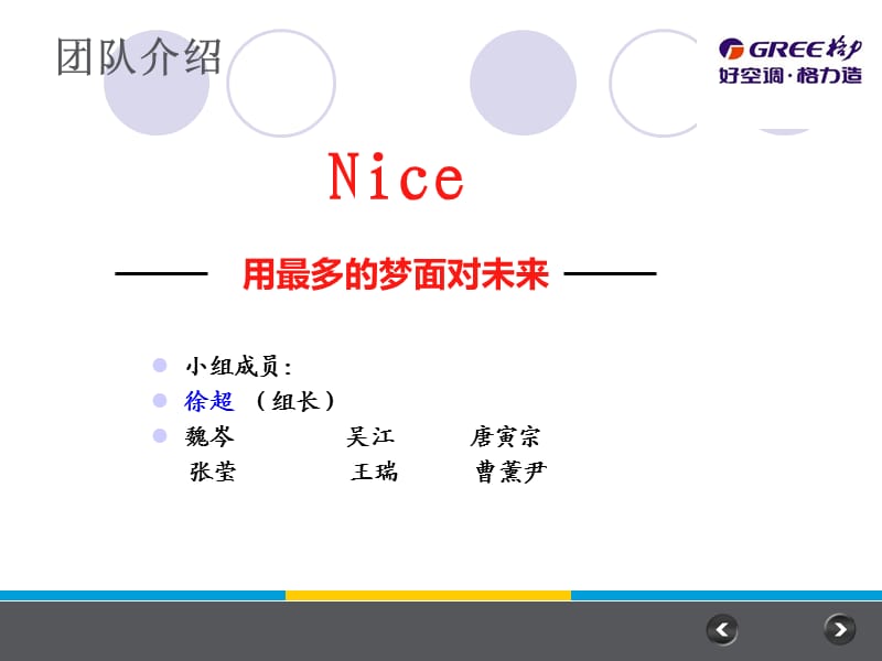 格力空调营销策划书.ppt_第2页