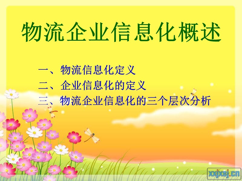 物流企业信息化.ppt_第3页