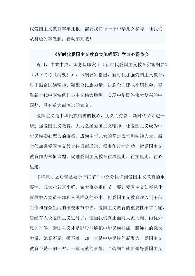 2篇《新时代爱国主义教育实施纲要》学习心得体会.doc_第3页