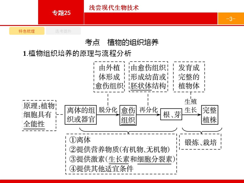 2020届浙江高考生物（选考）复习课件：25浅尝现代生物技术 .pptx_第3页