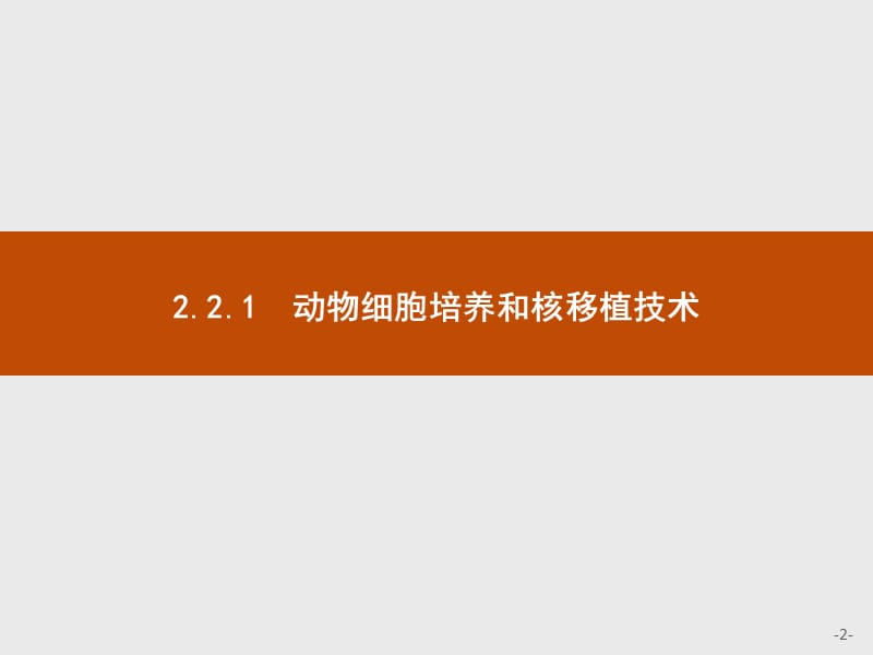 2019-2020学年高中生物人教版选修3课件：2.2.1动物细胞培养和核移植技术 .pptx_第2页