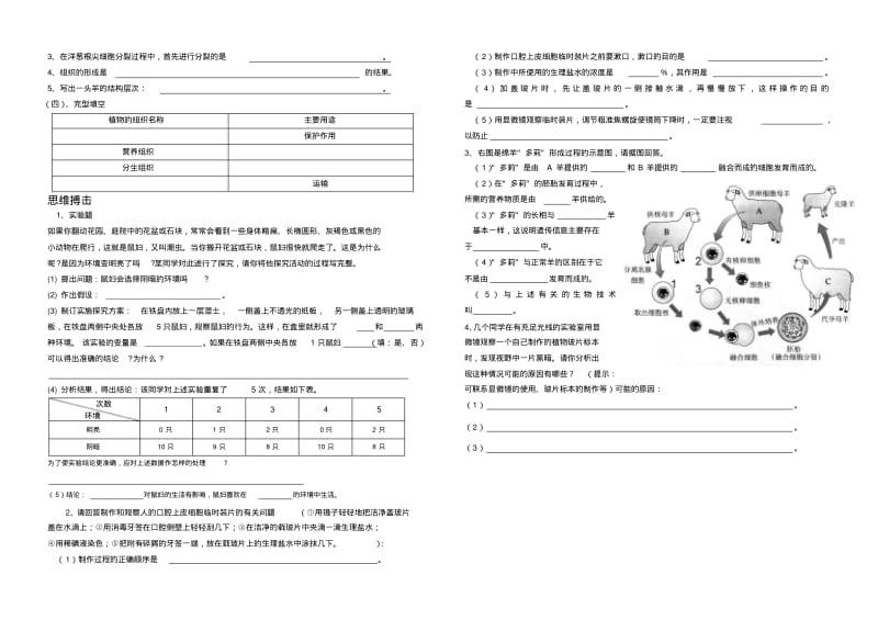 冀教版七年级上册生物中期测试题及答案..pdf_第2页