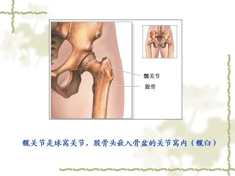 髋关节置换术后康复训练.ppt.ppt_第3页