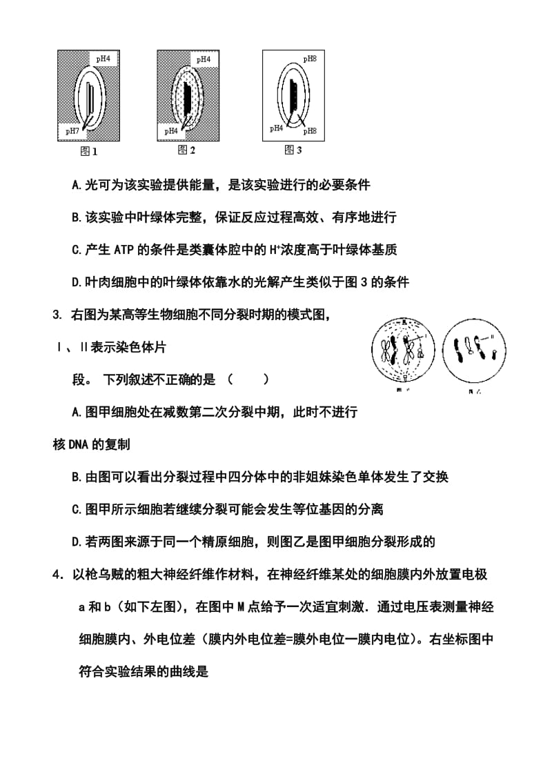 河南省北大附中河南分校高三冲刺理科综合试题 及答案.doc_第2页