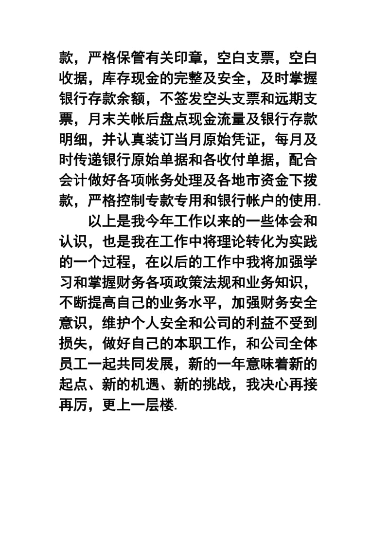 公司出纳个人终工作总结.doc_第2页