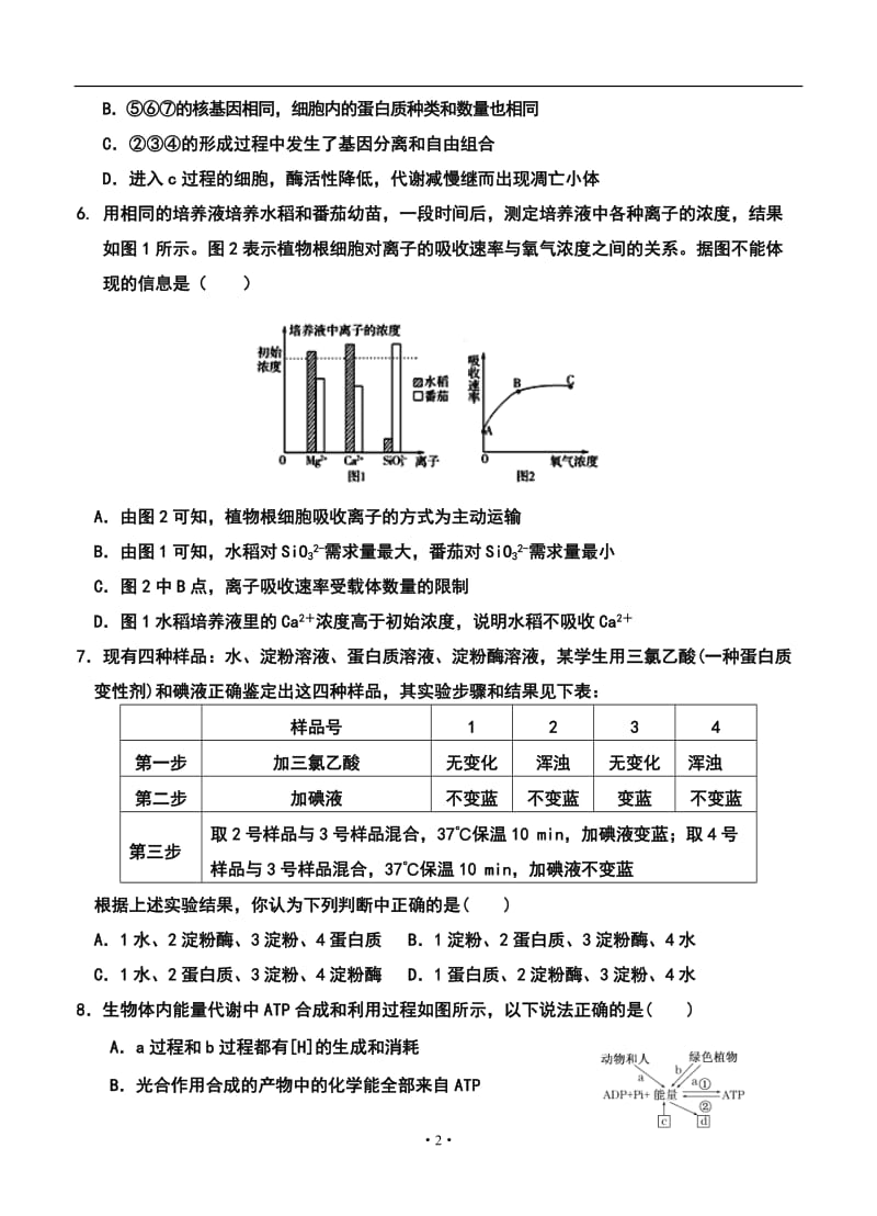 甘肃省武威市第六中学高三上学期第五次月考生物试题及答案.doc_第2页