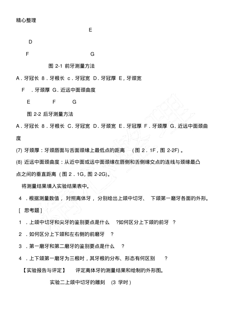 口腔解剖生理学实验指导牙体观察.pdf_第2页