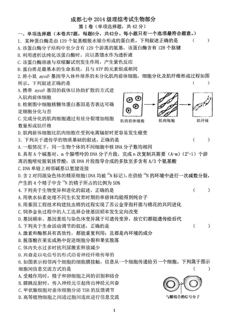 成都七中高三上学期第二次综合训练生物试题及答案.doc_第1页