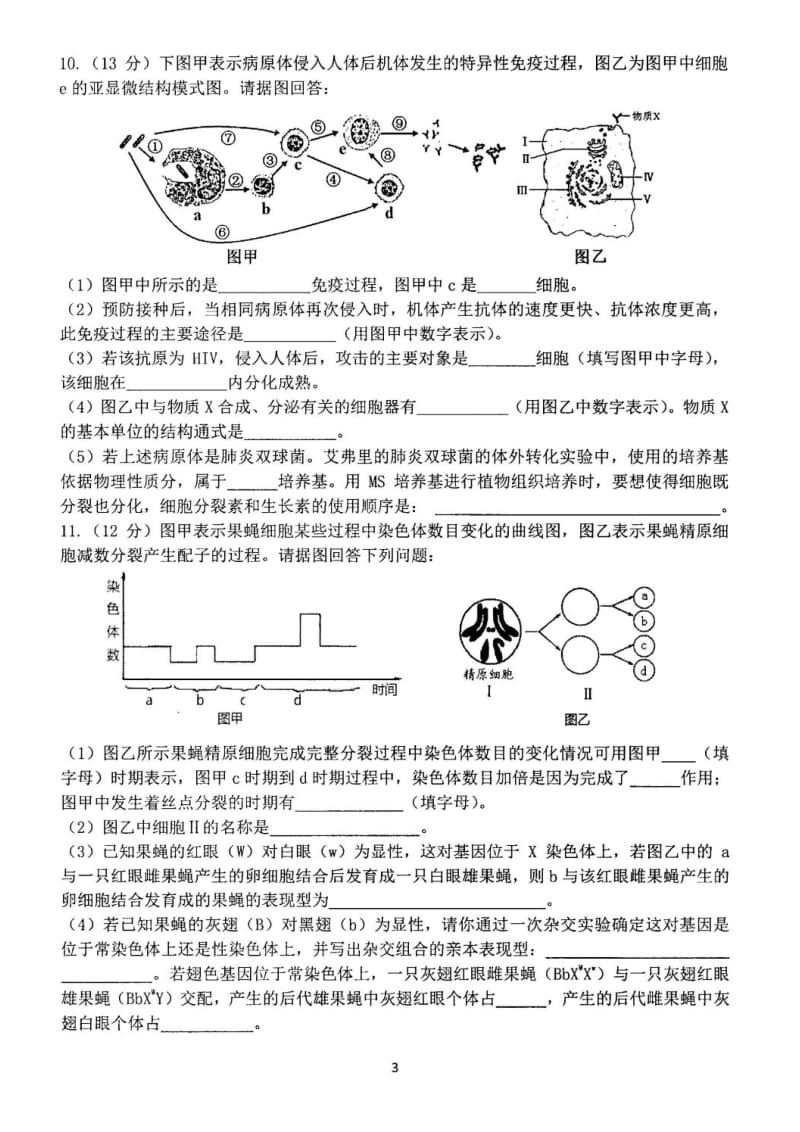 成都七中高三上学期第二次综合训练生物试题及答案.doc_第3页