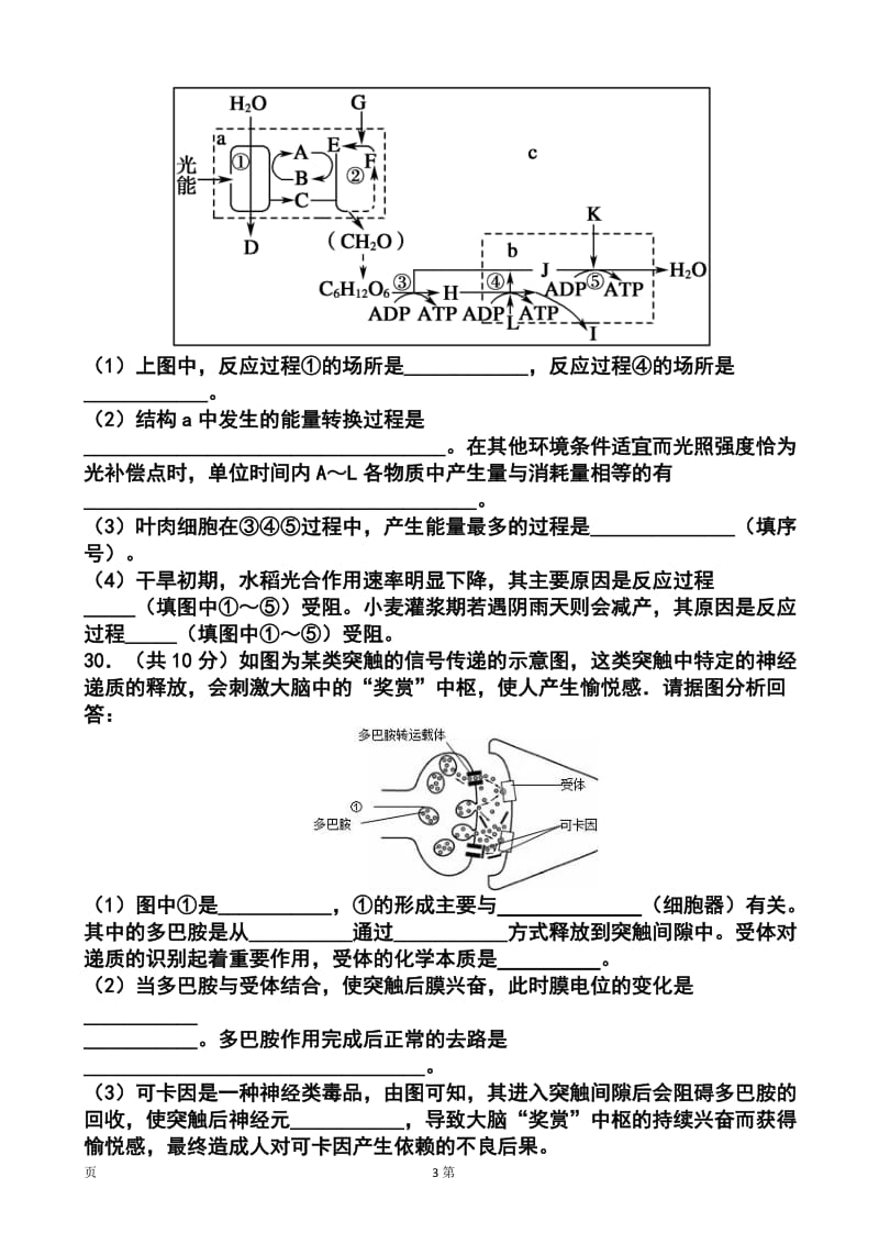 甘肃省张掖市高三第三次诊断考试生物试题及答案.doc_第3页