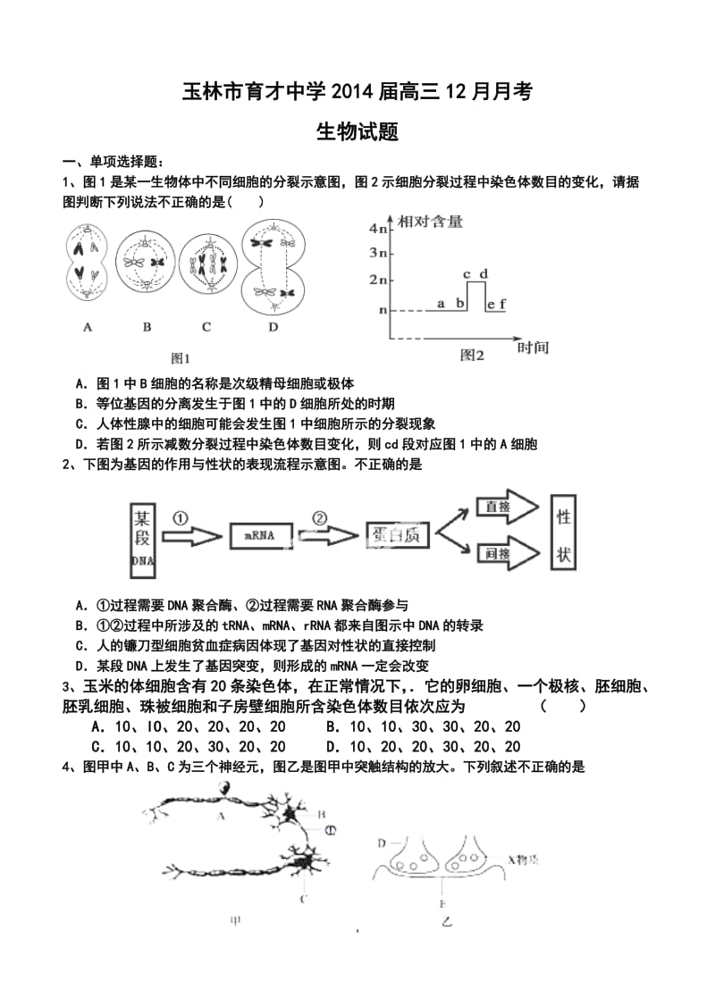 广西玉林市育才中学高三12月月考生物试题及答案.doc_第1页