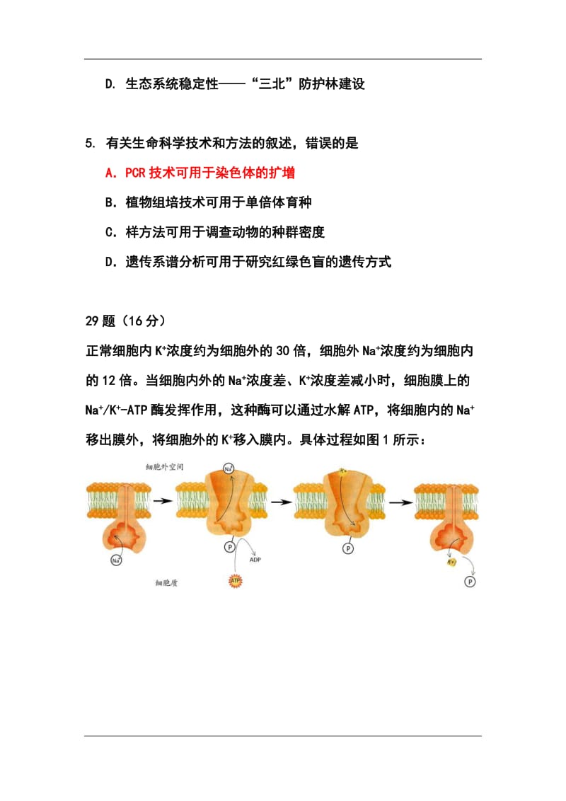 北京市昌平区高三4月第二次统练（二模）生物试题及答案.doc_第2页