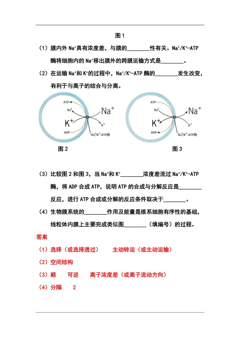 北京市昌平区高三4月第二次统练（二模）生物试题及答案.doc_第3页