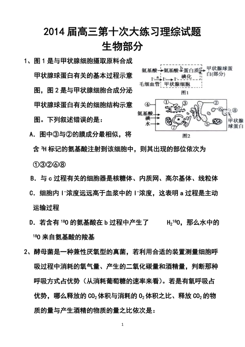 陕西省西安市高新一中高三下学期第十次大练习生物试题及答案.doc_第1页