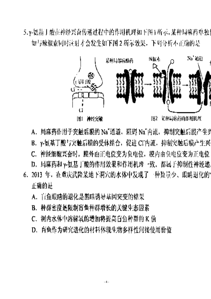 河南省商丘市高三第二次模拟考试生物试题及答案.doc_第2页