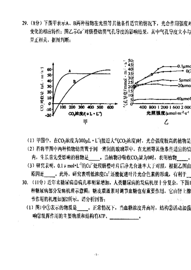 河南省商丘市高三第二次模拟考试生物试题及答案.doc_第3页