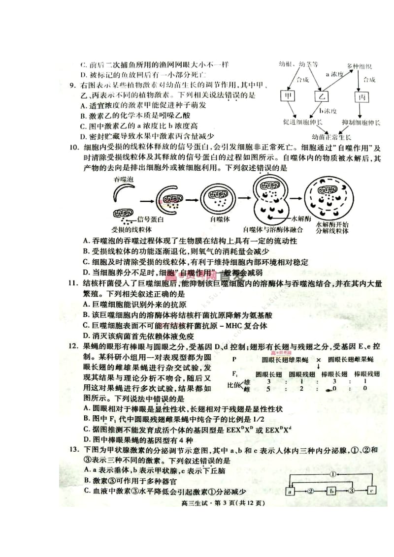 浙江省杭州市高三第一次高考科目教学质检生物试题及答案.doc_第3页